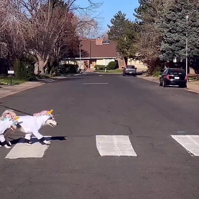  .....eteers   'recent posts' 