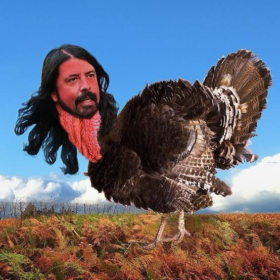  ....ghrol   'recent posts' 