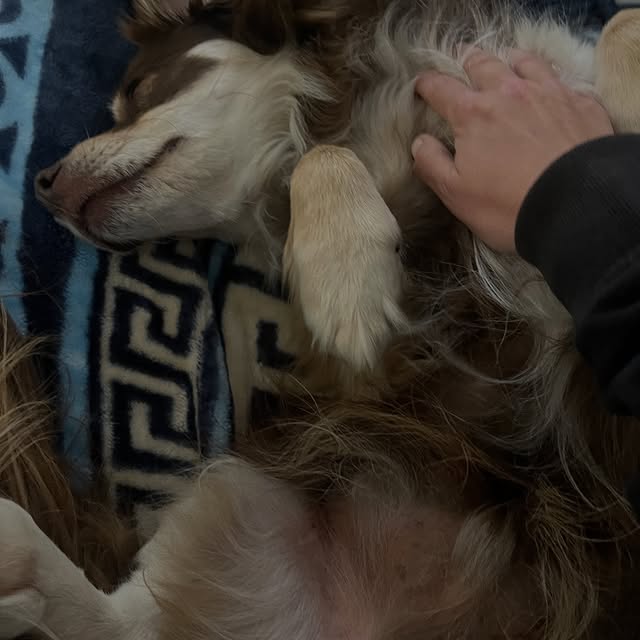  .....og2020   'recent posts' 