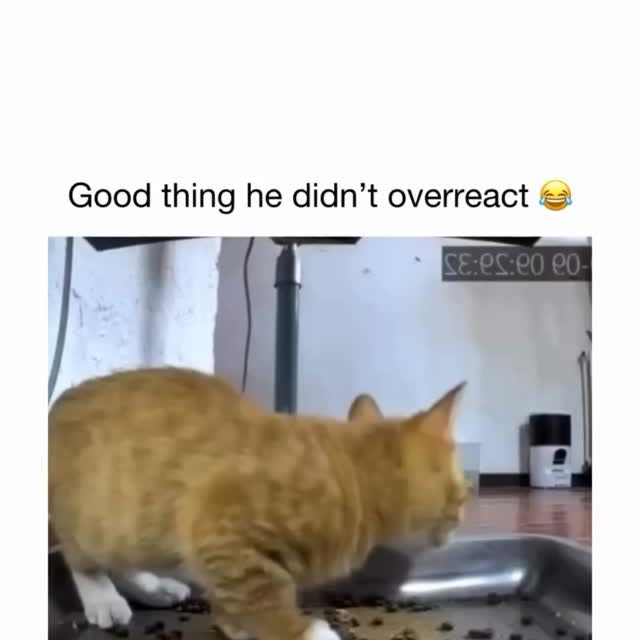  .....sarena   'recent posts' 