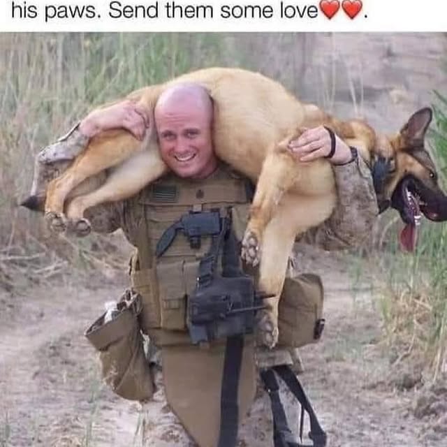  .......ndrulzz   'recent posts' 