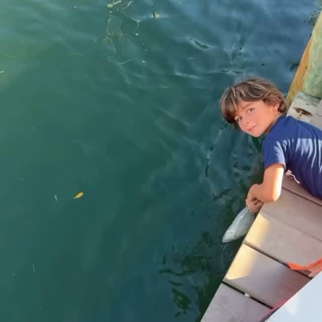  ..........ylefishing   'recent posts' 