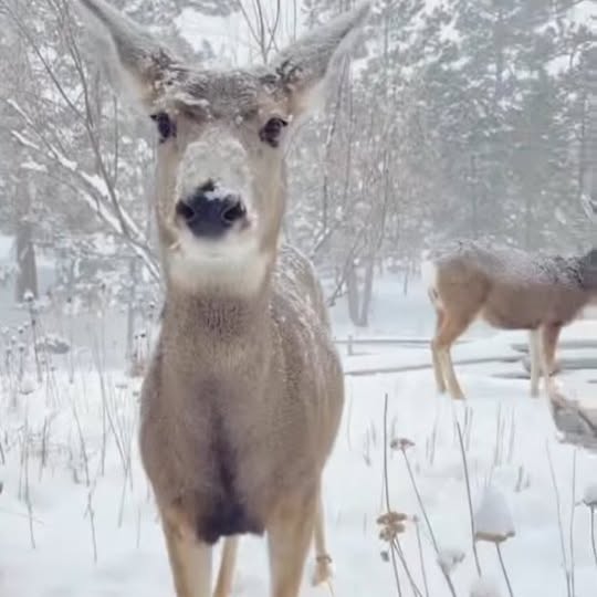  ..........discoverer   'recent posts' 