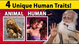  ......arat TV  'recent videos' 