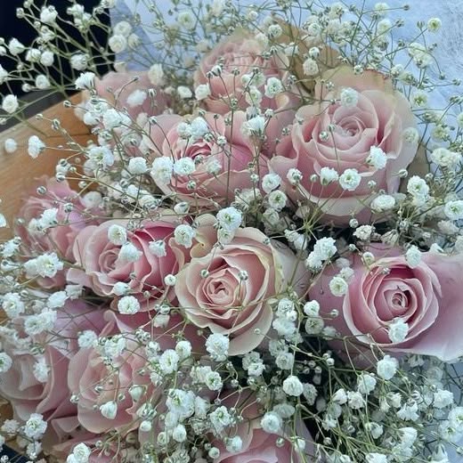  .....nenat   'recent posts' 