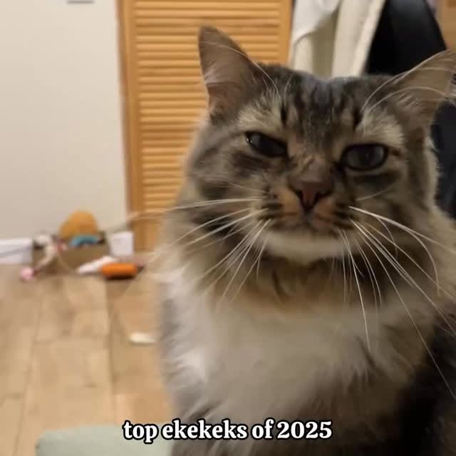  ......kekkek   'recent posts' 