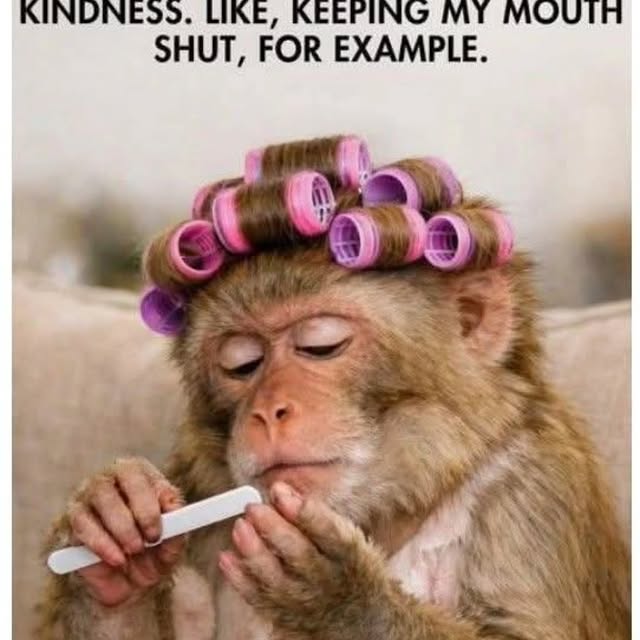  ........s_a_laugh   'recent posts' 