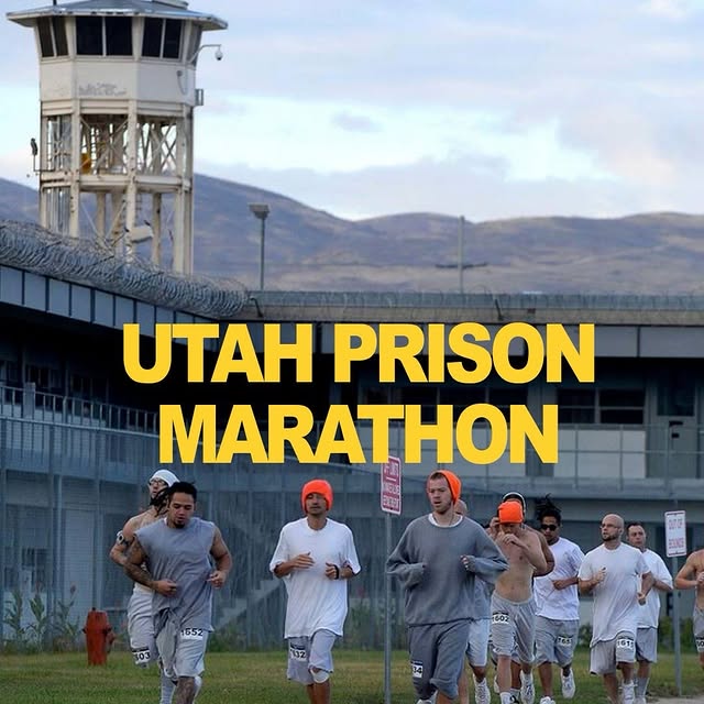  ......gfervor   'recent posts' 