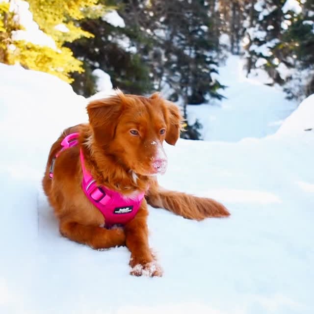  ......atoller   'recent posts' 