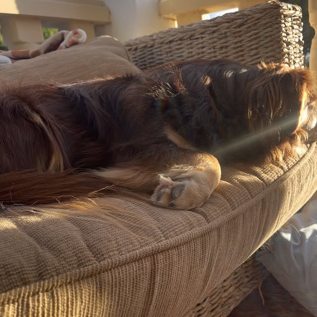  .....og2020   'recent posts' 