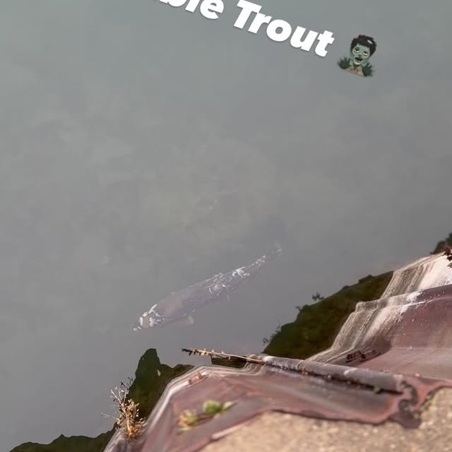  ........sfishing   'recent posts' 