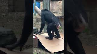  .....rthTv  'recent videos' 