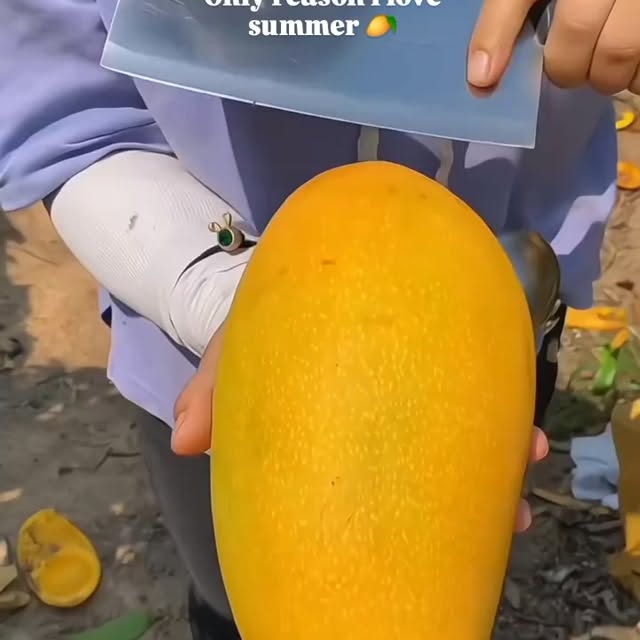  .......ureworld   'recent posts' 