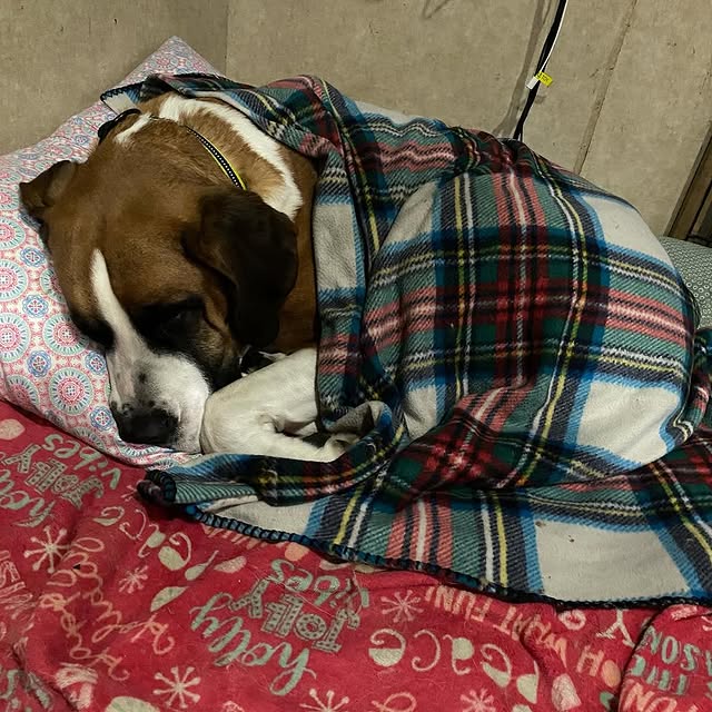  .........intbernard   'recent posts' 