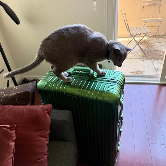  ......n_boris   'recent posts' 