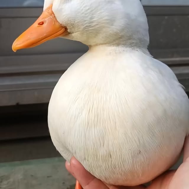  ........ckstatue   'recent posts' 