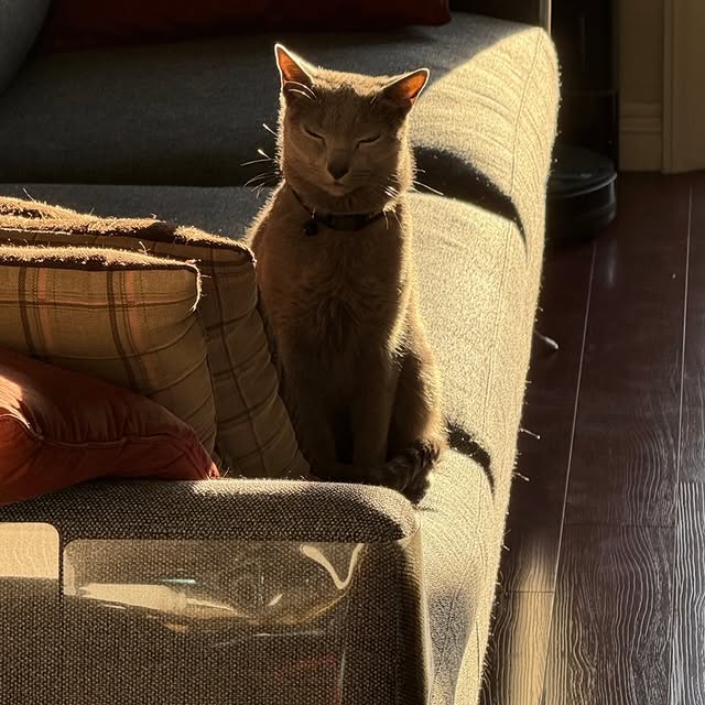  ......n_boris   'recent posts' 