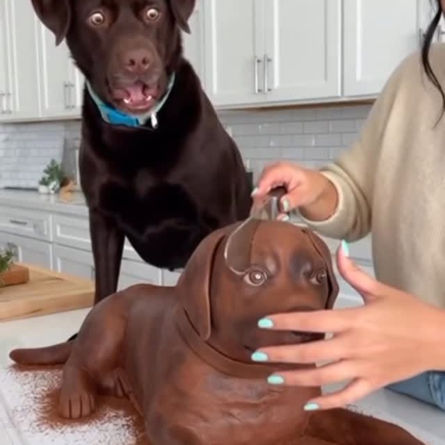  ....fday   'recent posts' 