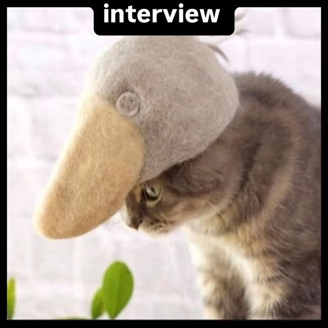  ..........rdoftheday   'recent posts' 