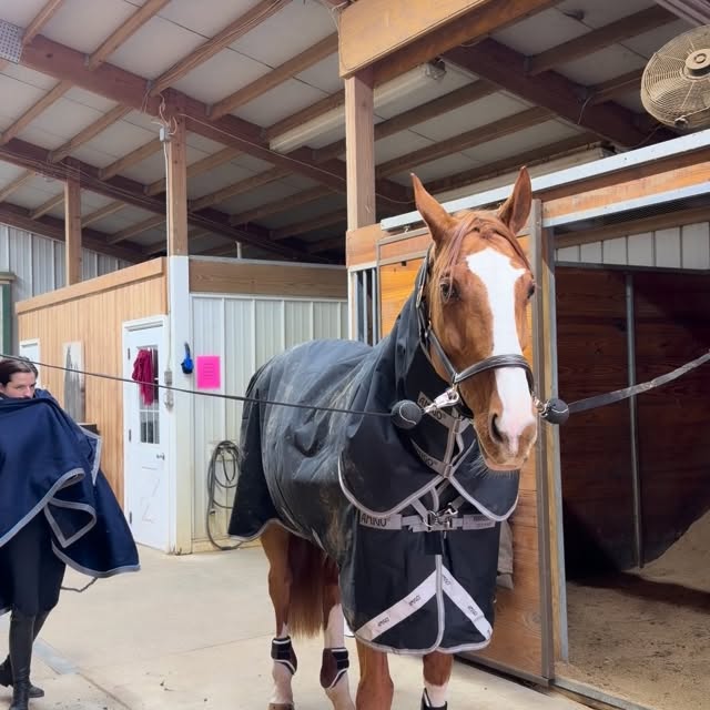  .....hulse   'recent posts' 