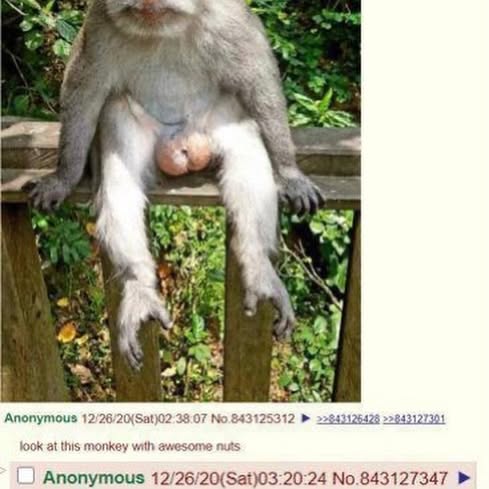  .......posting   'recent posts' 