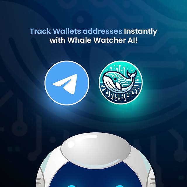  ........tingidol   'recent posts' 