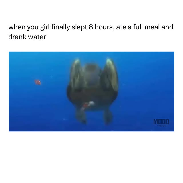  ......dpalace   'recent posts' 