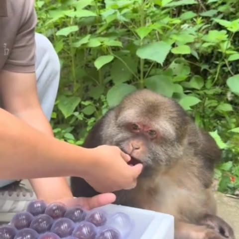  .......ureworld   'recent posts' 