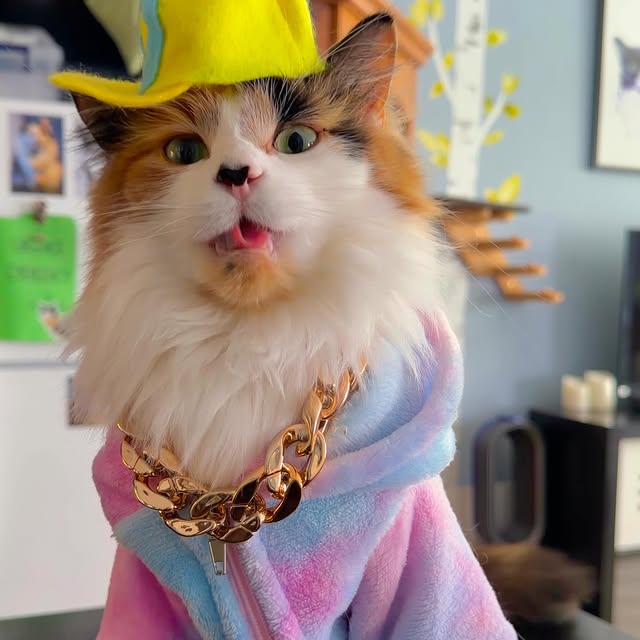  .........tofficial   'recent posts' 