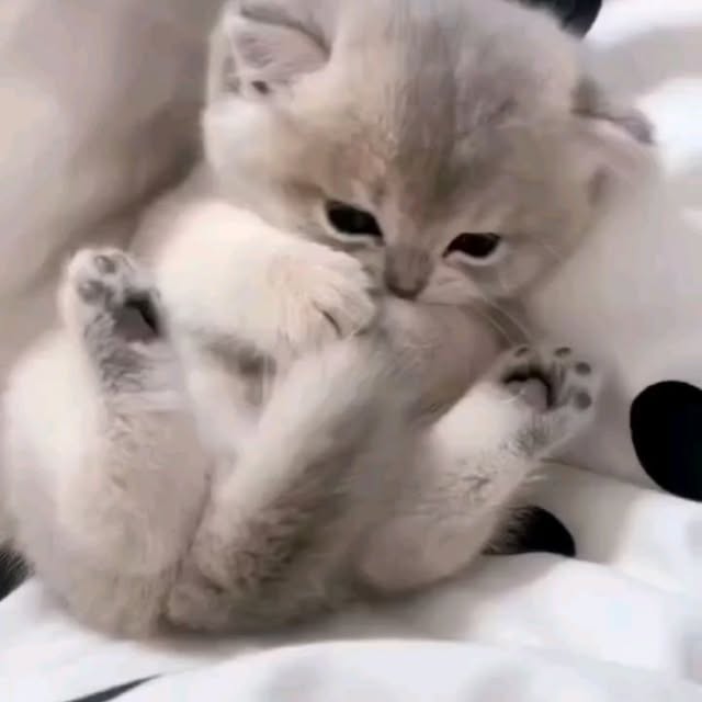  .......uteness1   'recent posts' 