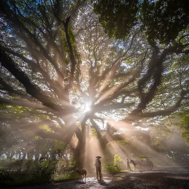  ......sfervor   'recent posts' 