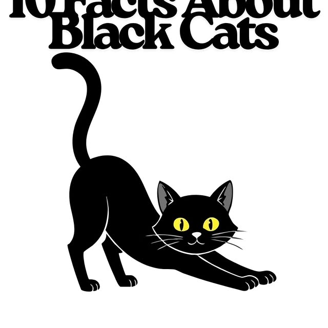  .......ats_club   'recent posts' 