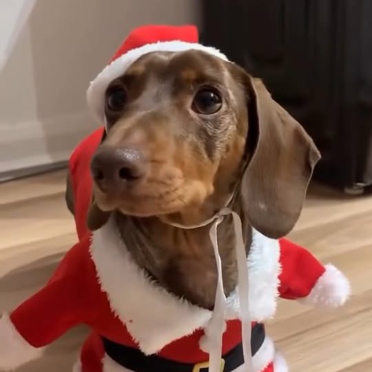  ..........fan.club_   'recent posts' 