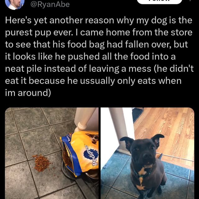  ............ttheinternet   'recent posts' 