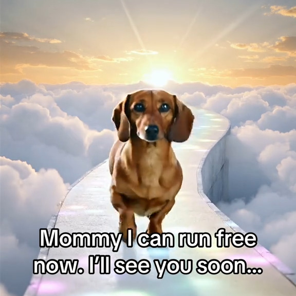  .....sland   'recent posts' 