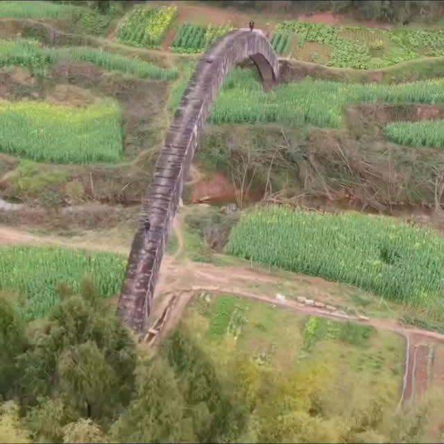  .......kyfacts   'recent posts' 