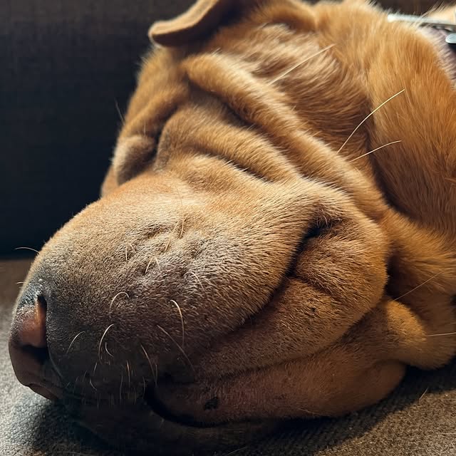  ......i.world   'recent posts' 