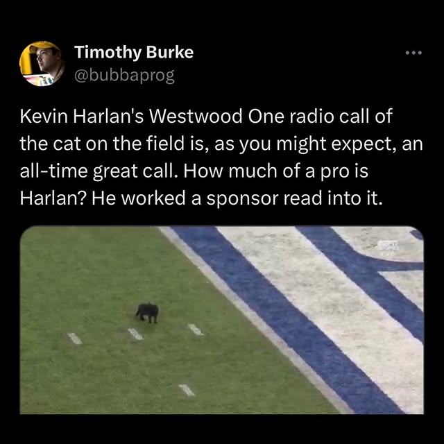  ......rldpage   'recent posts' 