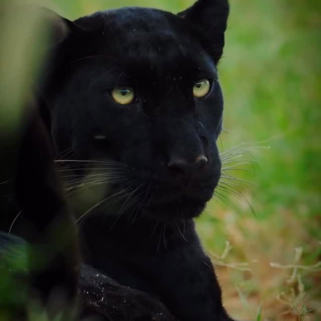  ......fehood   'recent posts' 