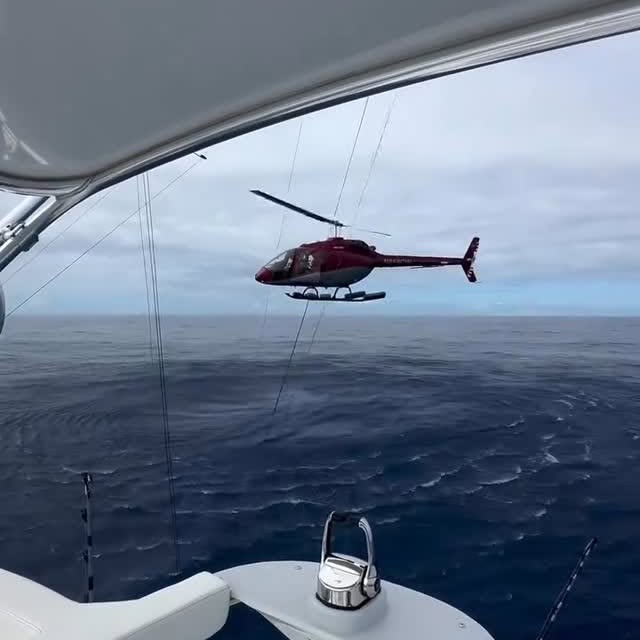  ..........ylefishing   'recent posts' 