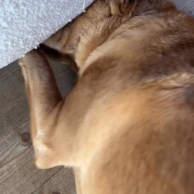  ......i.world   'recent posts' 