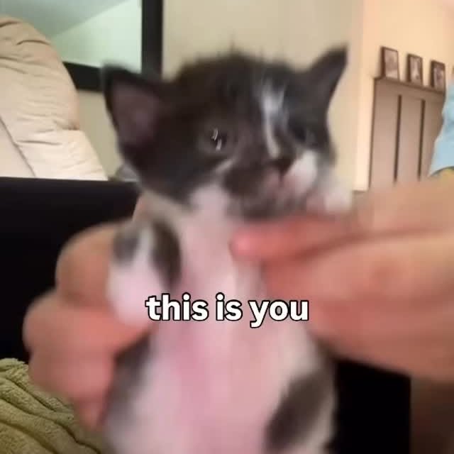  ......nd.kits   'recent posts' 