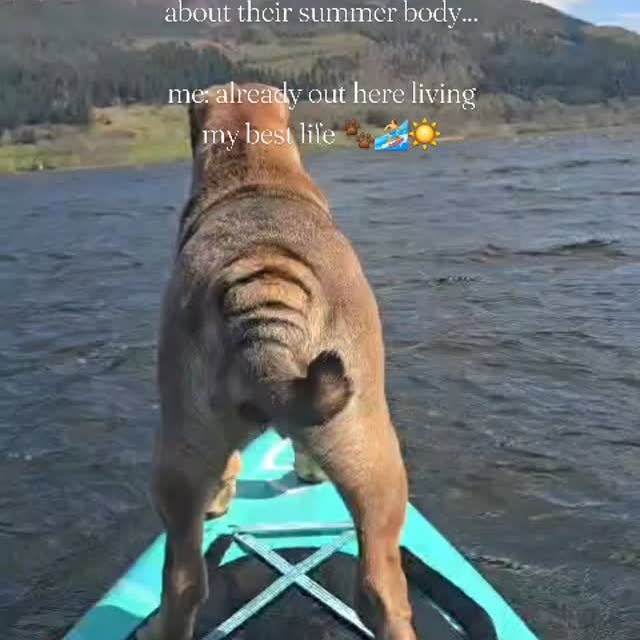  ......i.world   'recent posts' 