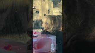  .....rthTv  'recent videos' 