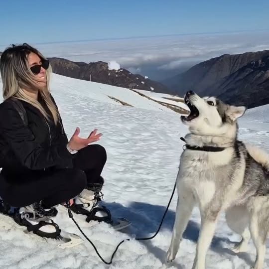  ....ambi   'recent posts' 