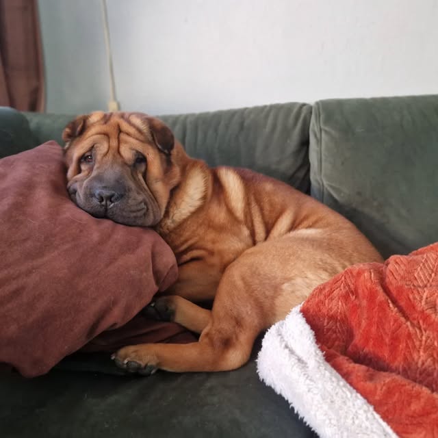  ......i.world   'recent posts' 