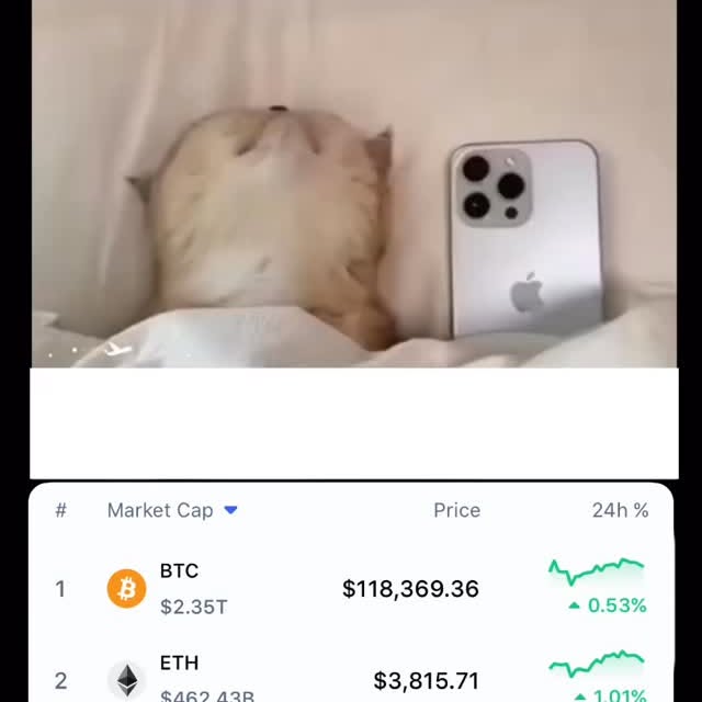  .......funnybox   'recent posts' 