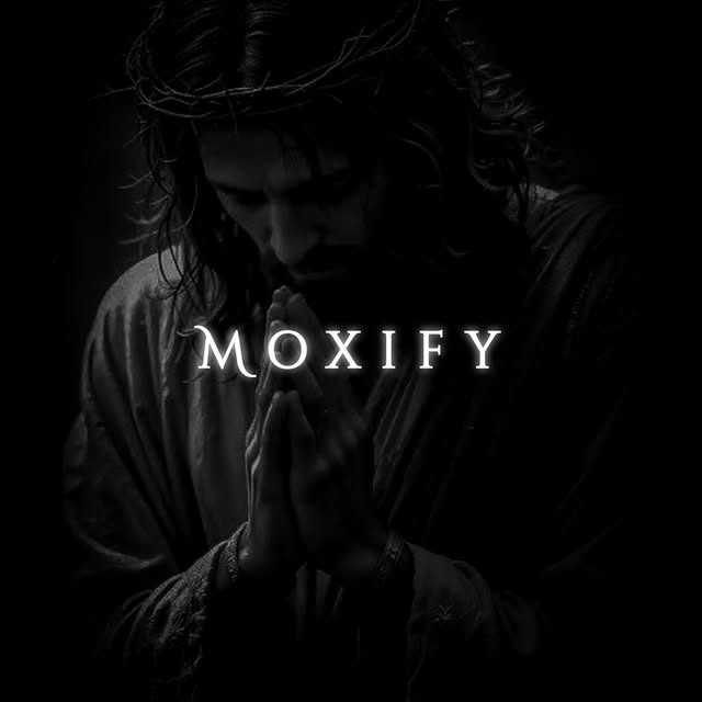  ....fy.ai   'recent posts' 