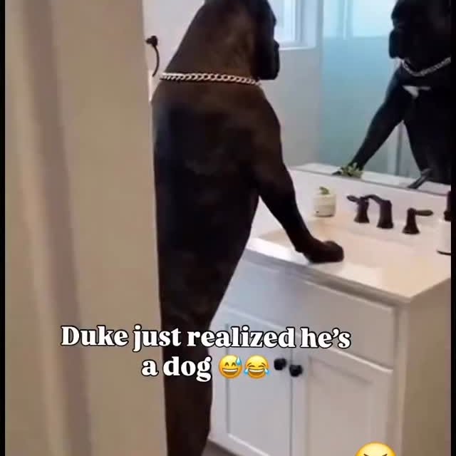  ........versgram   'recent posts' 