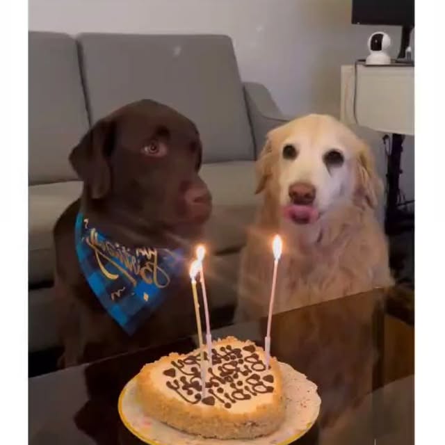  .....ibess   'recent posts' 